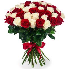 Красно-белые розы Любовный козырь