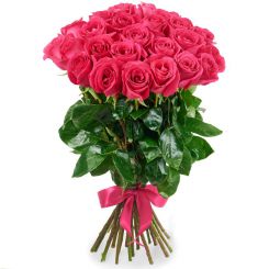 Розовые розы Цветочная эстетика
